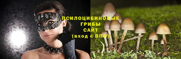 сатива Балабаново