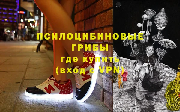 mix Снежногорск